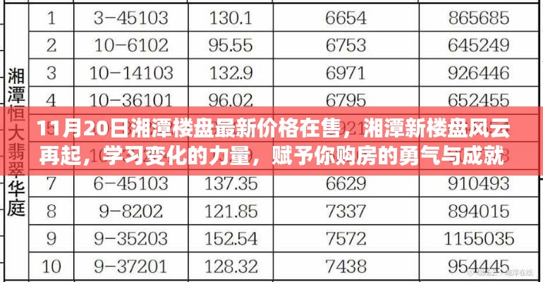 湘潭新楼盘最新价格指南，学习变化的力量，激发购房勇气与成就感