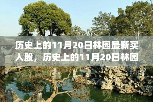 历史上的11月20日林园最新买入股，全面评测与深度介绍