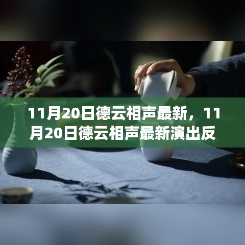 11月20日德云相声最新演出，传统与现代的完美融合之旅引爆观众反响！