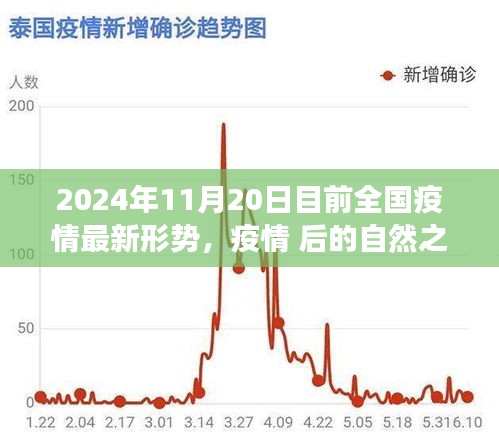 全国疫情最新形势下的自然之旅探索与内心宁静寻找（2024年11月20日）