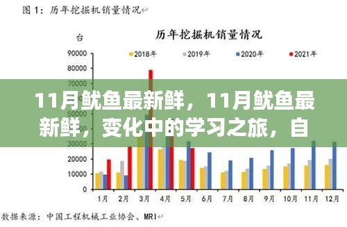 11月鱿鱼盛宴，新鲜海鲜的学习之旅与自信成就感的汇聚