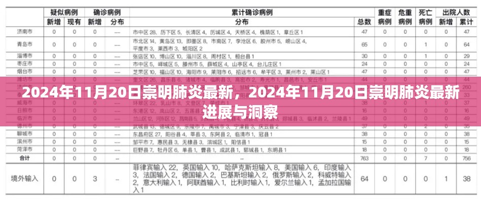 2024年11月20日崇明肺炎最新进展与洞察揭秘