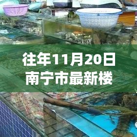 揭秘往年11月20日南宁最新楼盘价格走势及购房指南