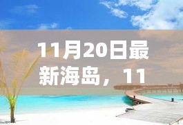 探索未知魅力与独特风情，最新海岛探险之旅（11月20日）