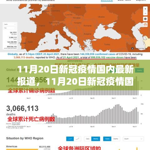 11月20日新冠疫情国内最新报道，防控与未来走向的观察与思考——某某角度透视