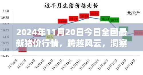 跨越风云的猪价行情，2024年最新猪价行情分析与未来洞察