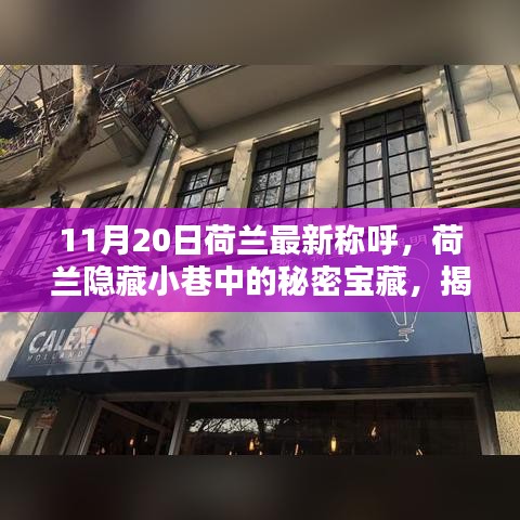 荷兰隐藏小巷中的独特宝藏，揭秘最新称呼的神秘小店（11月20日）