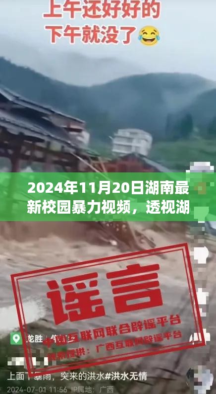 2024年视角下的湖南校园暴力现象，反思与行动