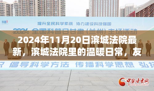 滨城法院的日常，友情、趣事与特别时刻（2024年11月20日最新）