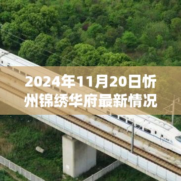 2024年11月20日忻州锦绣华府最新动态解析与观点洞察