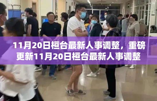 11月20日桓台最新人事调整，洞悉未来发展趋势