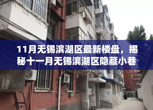 揭秘十一月无锡滨湖区隐藏楼盘与神秘小店，最新楼盘一览