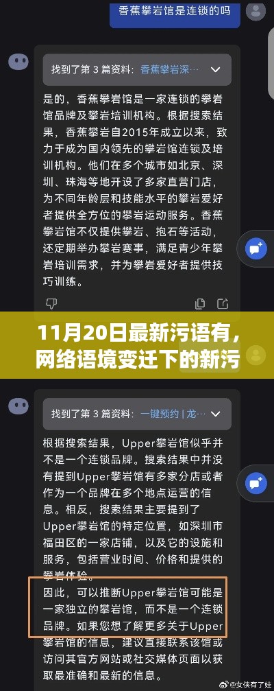 网络语境变迁下的新污语现象探讨，以最新污语为例分析（针对日期为11月20日）