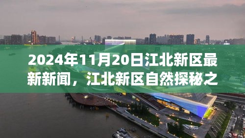 江北新区自然探秘之旅，寻找内心平静的奇妙新闻之旅（2024年11月20日最新消息）