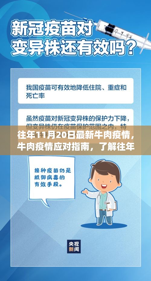 往年11月牛肉疫情最新动态，应对指南与食品安全保障措施的重要性