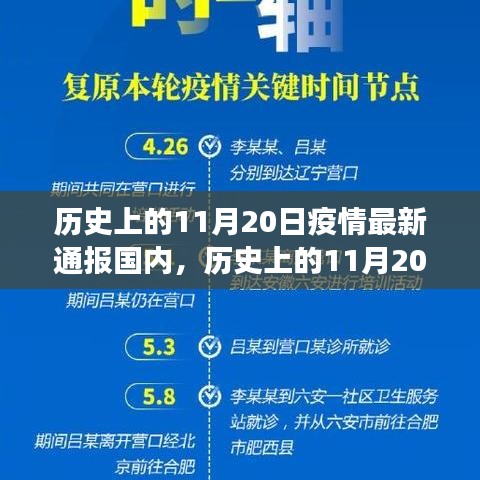 历史上的11月20日疫情通报，国内最新动态与解读