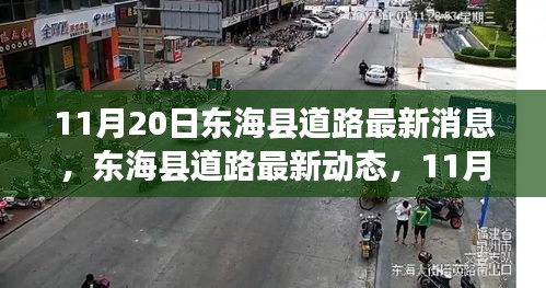 11月20日东海县道路最新动态及更新消息概览