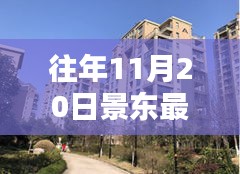 景东最新二手房购买指南，选购攻略与心仪房源的挑选技巧（11月20日前后）