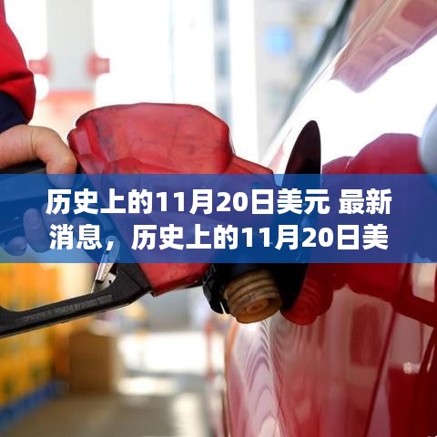 历史上的11月20日美元走势深度解析与最新市场动态报告发布