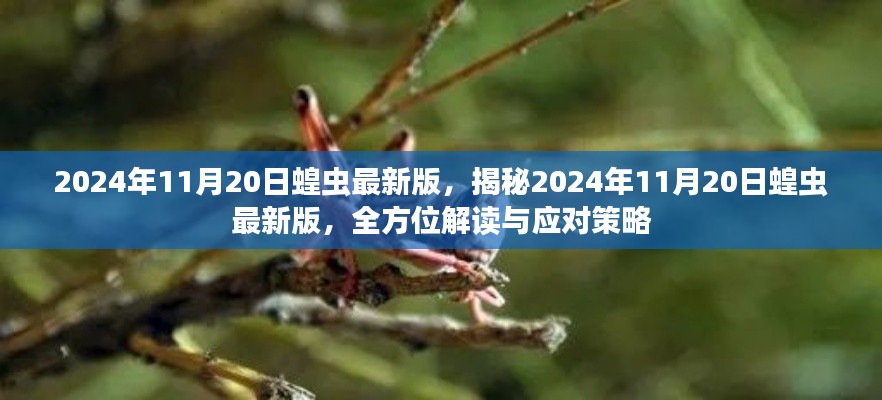 揭秘揭秘，2024年蝗虫最新动态及应对策略分析