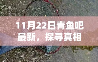 探寻真相，最新热议观点尽在青鱼吧 11月22日