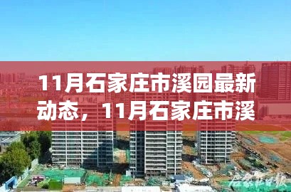 11月石家庄市溪园最新动态解析，某某观点下的深度阐述