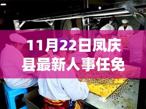 凤庆县最新人事任免动态解析（11月22日更新）