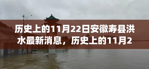 历史上的11月22日安徽寿县洪水灾害实录，最新消息与灾害回顾