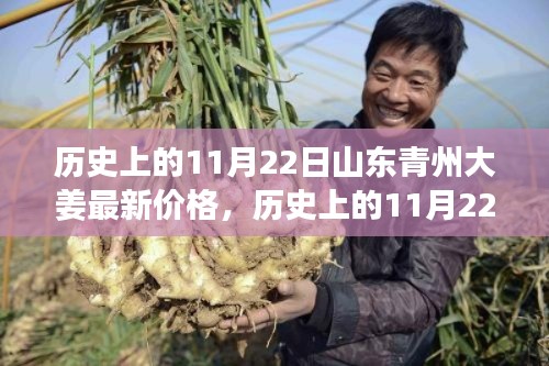 山东青州大姜价格变迁背后的励志故事，历史上的11月22日价格回顾与变迁分析