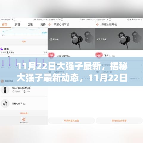 揭秘大强子最新动态，科技前沿洞察报告（11月22日更新）
