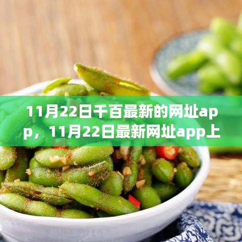 警惕风险犯罪问题，最新网址app上线，11月22日千百最新网址app解析