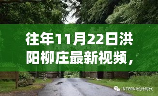 往年11月22日洪阳柳庄揭秘，最新视频探秘与解读要点详解