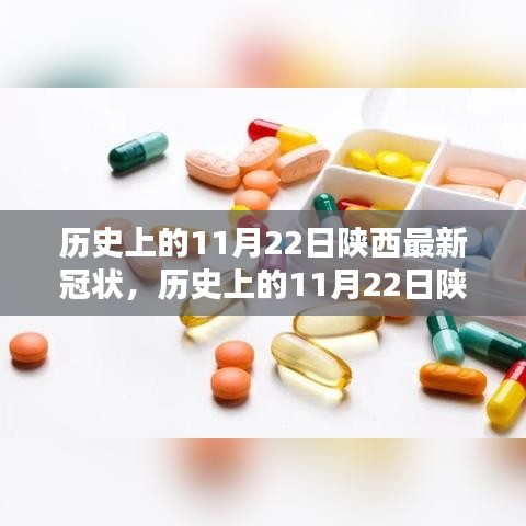 陕西历史上的新冠疫情，深度分析与个人观点回顾（11月22日篇）