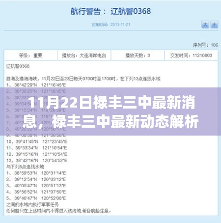 11月22日禄丰三中最新动态解析与多维度探讨