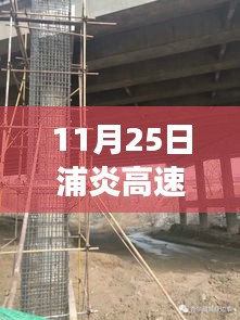 11月25日浦炎高速建设进展概览，最新动态报道