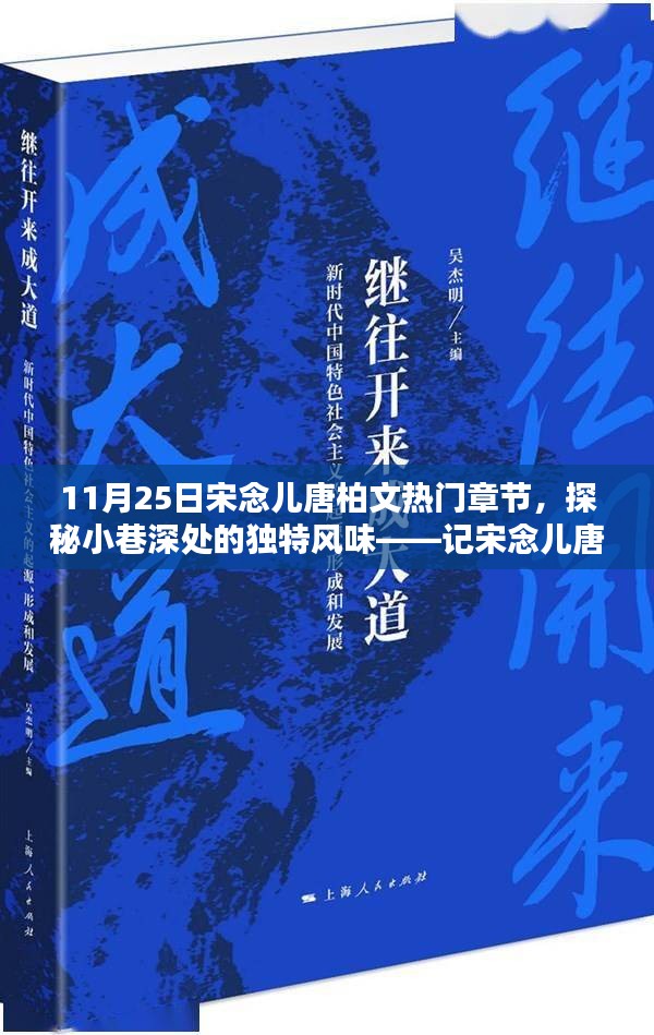 探秘小巷深处的独特风味，宋念儿唐柏文热门章节揭秘