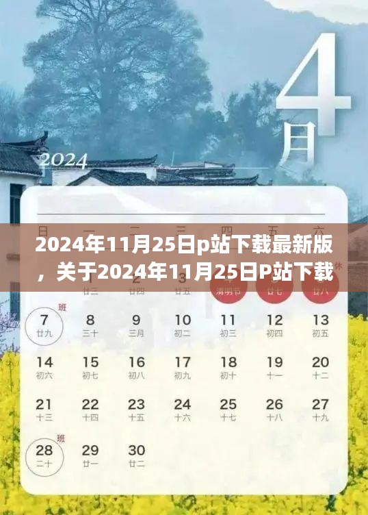 2024年11月25日P站最新版下载，个人立场与观点分析