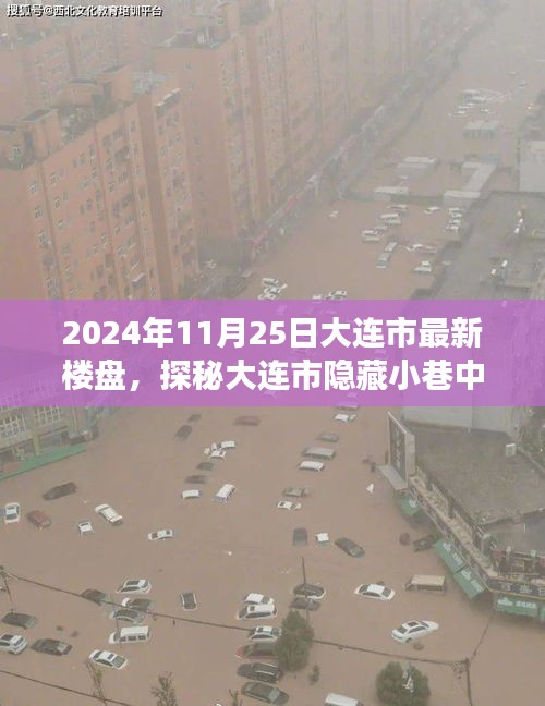 探秘大连市隐藏小巷的特色楼盘，时光雅居的非凡之旅（2024年11月25日大连市最新楼盘）