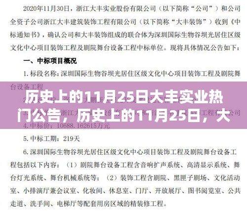 历史上的11月25日，大丰实业公告引领时代风潮，热门公告揭秘