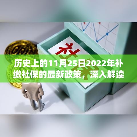 历史上的11月25日聚焦社保政策，深入解读与评测补缴社保最新动态（2022年）