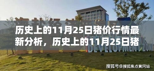 历史上的11月25日猪价行情深度解析与最新分析