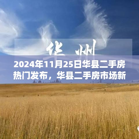 华县二手房市场新篇章，励志之旅启程，学习变化与自信成就梦想之路