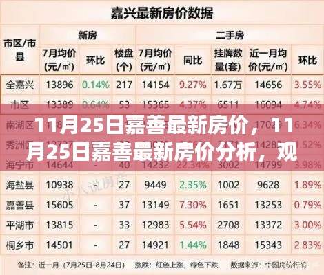 11月25日嘉善房价最新动态，深度分析与观点解读