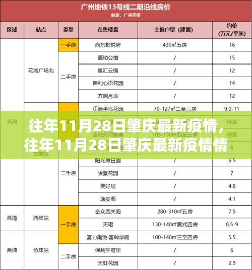 往年11月28日肇庆疫情深度评测及最新动态分析