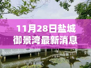 盐城御景湾最新动态解析，聚焦11月28日最新消息揭秘