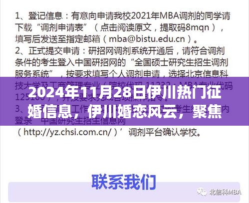 伊川婚恋风云，聚焦征婚热潮，最新热门征婚信息（2024年11月28日）