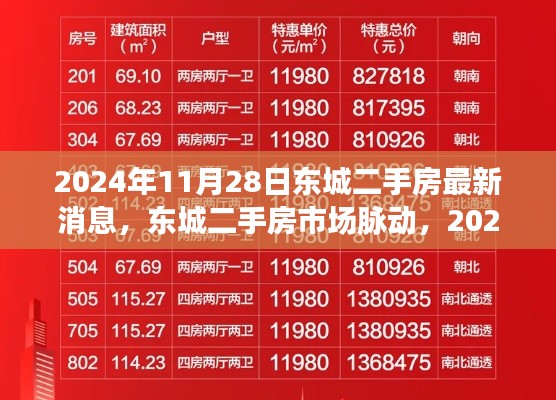 东城二手房市场最新动态，2024年11月28日观察报告