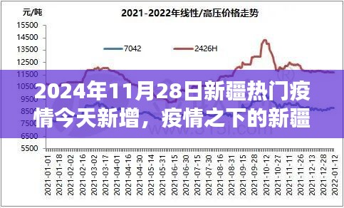 聚焦新疆疫情，2024年11月28日新增病例动态