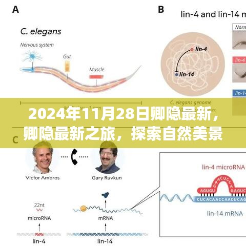 卿隐最新探索之旅，自然美景的心灵之旅，寻找内心宁静的奇妙之旅。