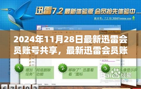 最新迅雷会员账号共享指南，解锁高速下载体验（2024年11月28日更新）